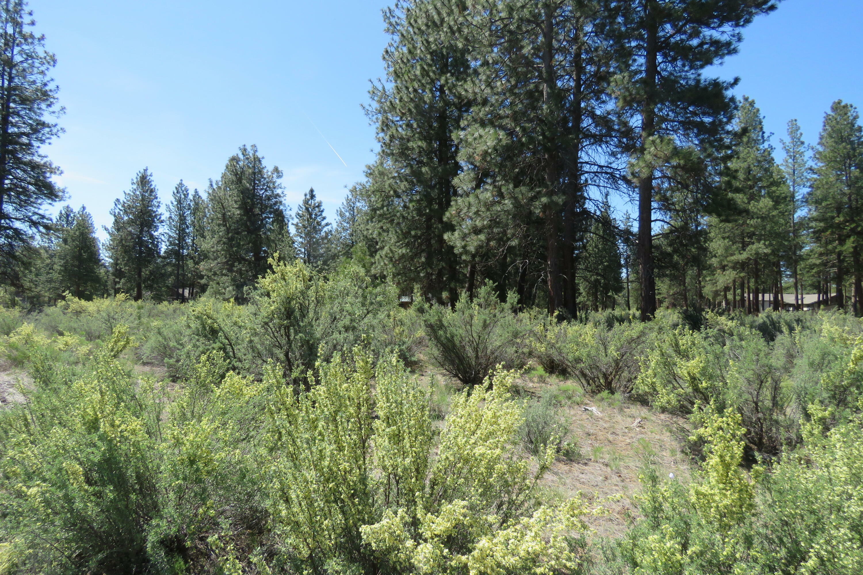 Property Photo: Castle Dr Lot 10 OR 97624