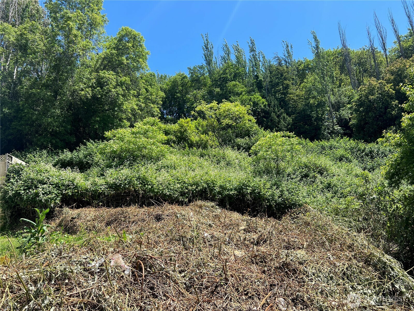 Property Photo: 79 Xx Military Road S WA 98108