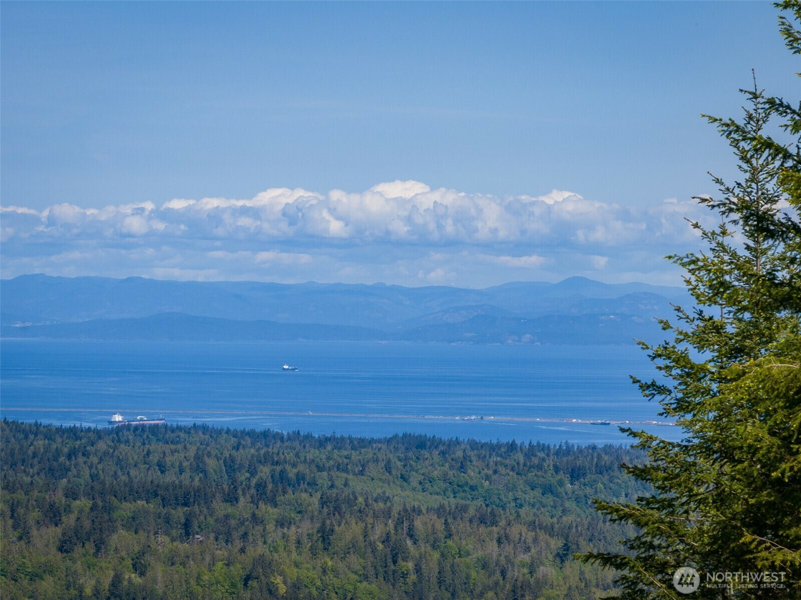 Property Photo: 11 Lot Maletti Hill Road WA 98363