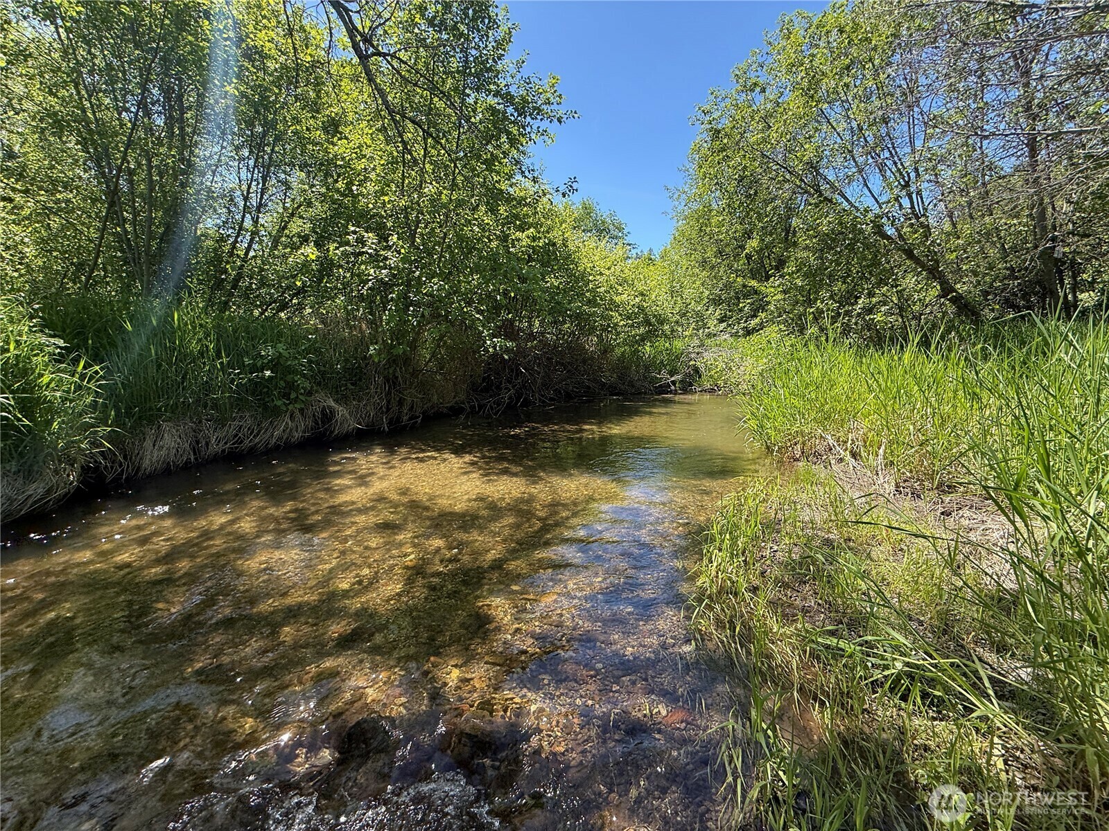 Property Photo: 333 Toroda Creek Road WA 99118