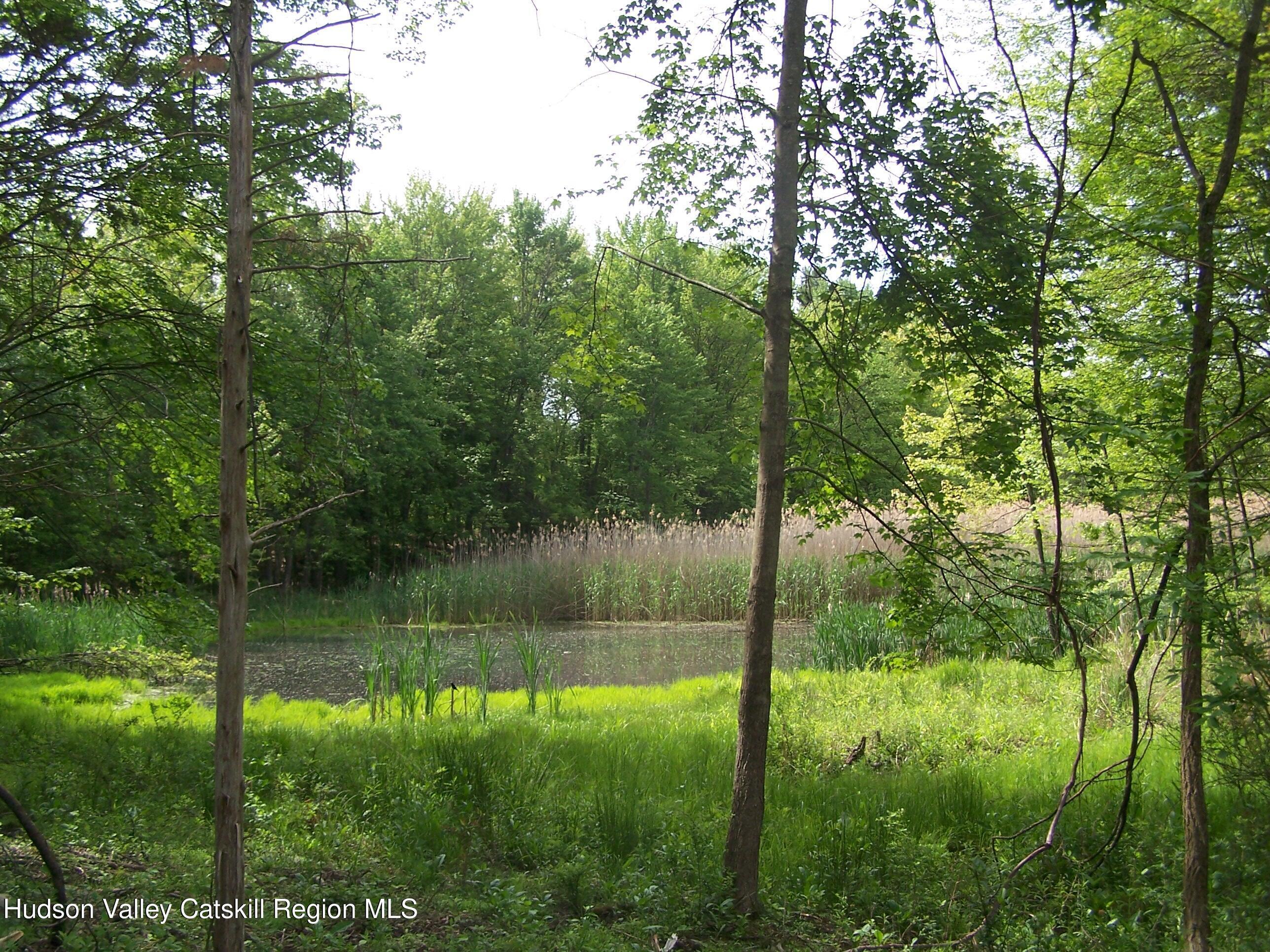 Property Photo: 85 Beth NY 12401