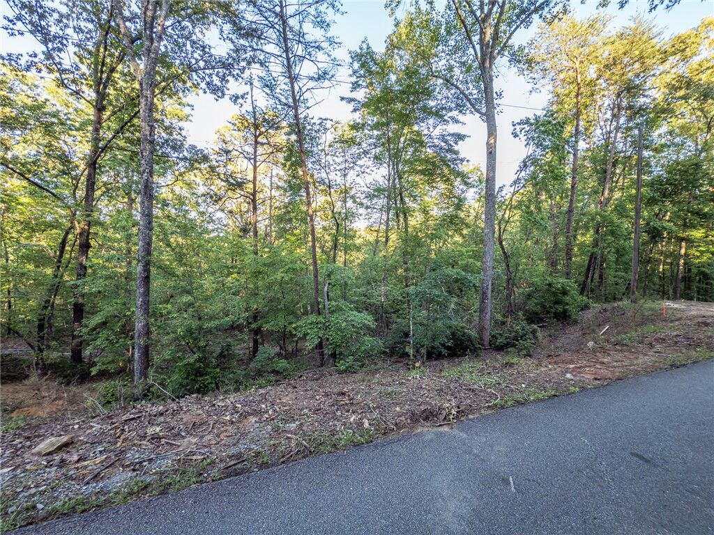 Property Photo: Lot 23 Old Shallowford Bridge Road SC 29685