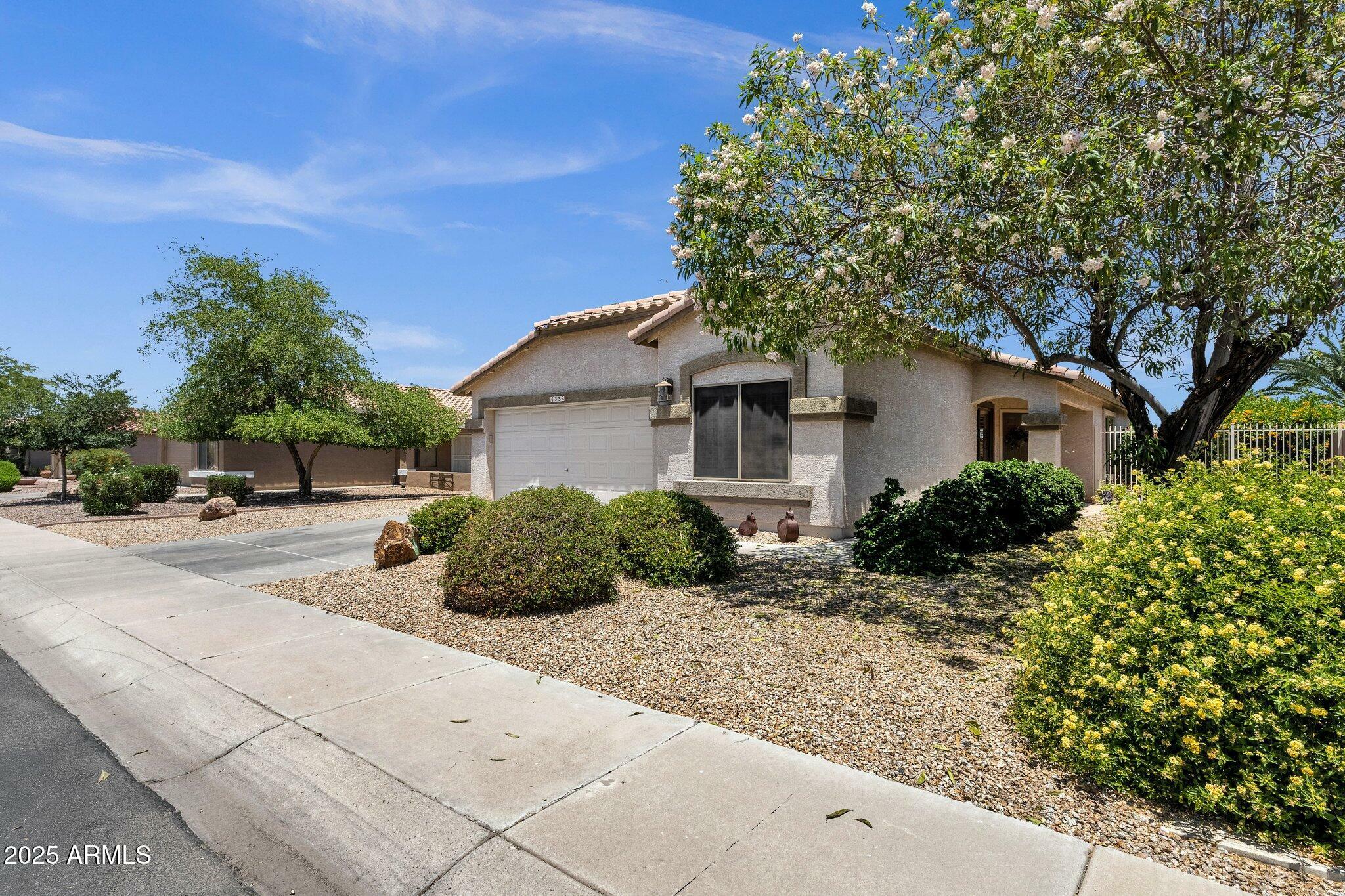 4332 E Cassia Lane  Gilbert AZ 85298 photo