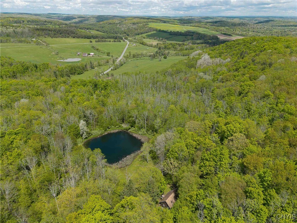 Property Photo: 3304 Co Rd 22 NY 14820