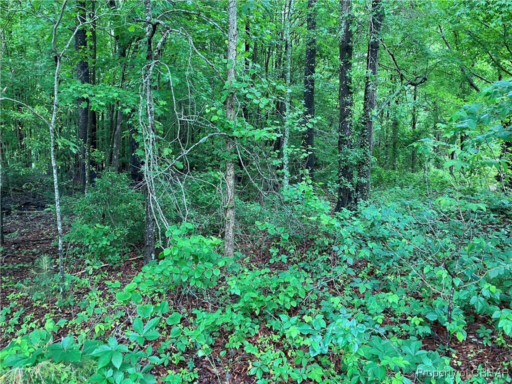 Property Photo: 19.42 Ac Main Street VA 23109