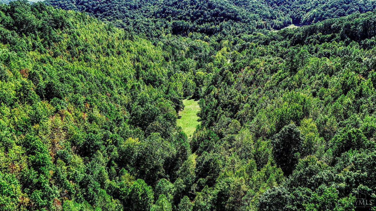 Property Photo: 1259 Shepherd Fork Road OH 45663