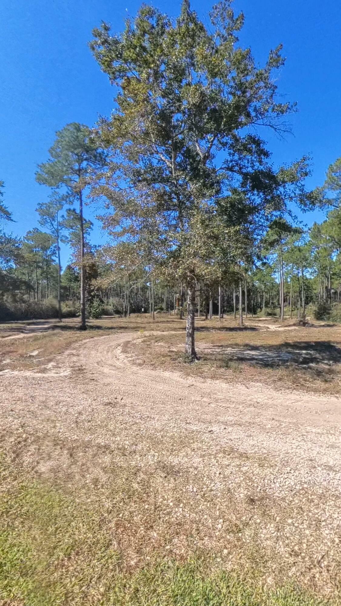 Property Photo:  1148 N Planters Drive  FL 32567 