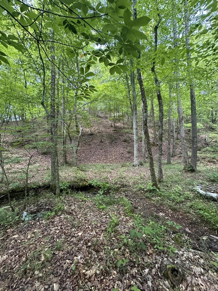 Property Photo:  0 Castleberry Road  GA 30728 
