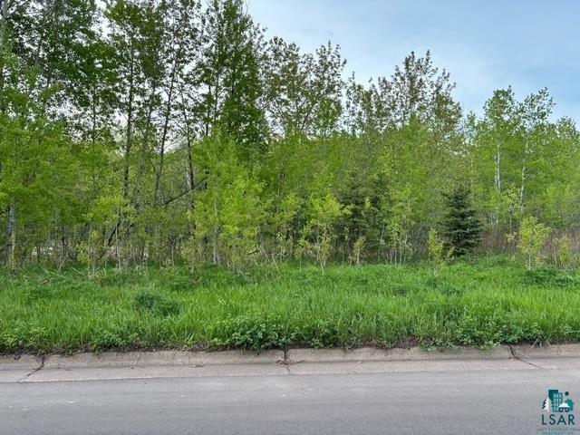 Property Photo: Xx W Myrtle St MN 55811