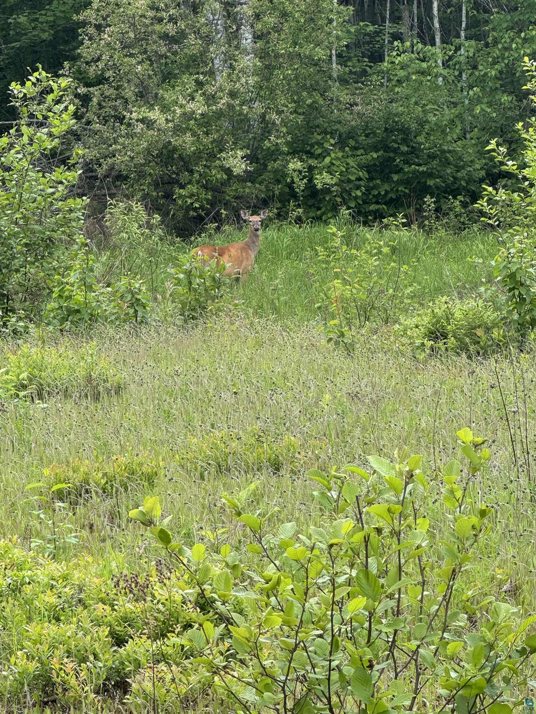 Property Photo: 7544E S Brannan Rd WI 54842