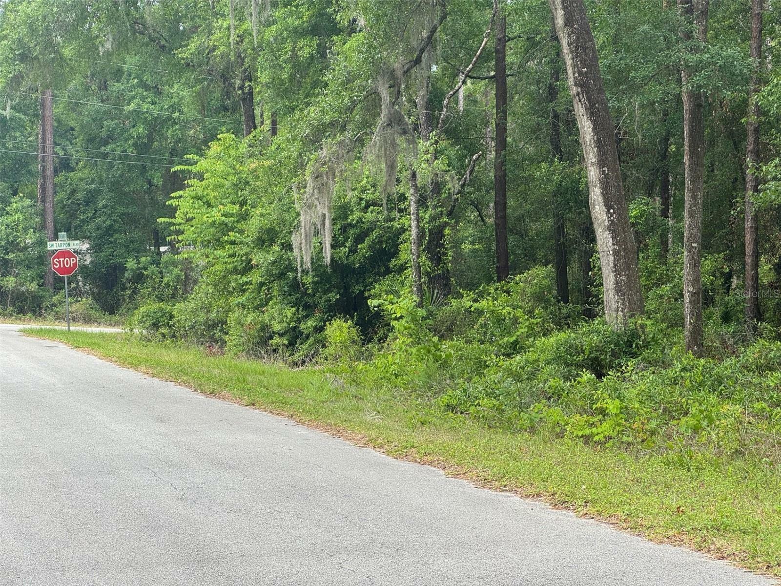Property Photo: Lot 14 SW Chanel Heights Court FL 34431