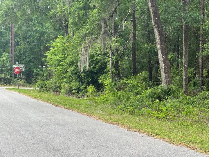 Property Photo:  Lot 14 SW Chanel Heights Court  FL 34431 