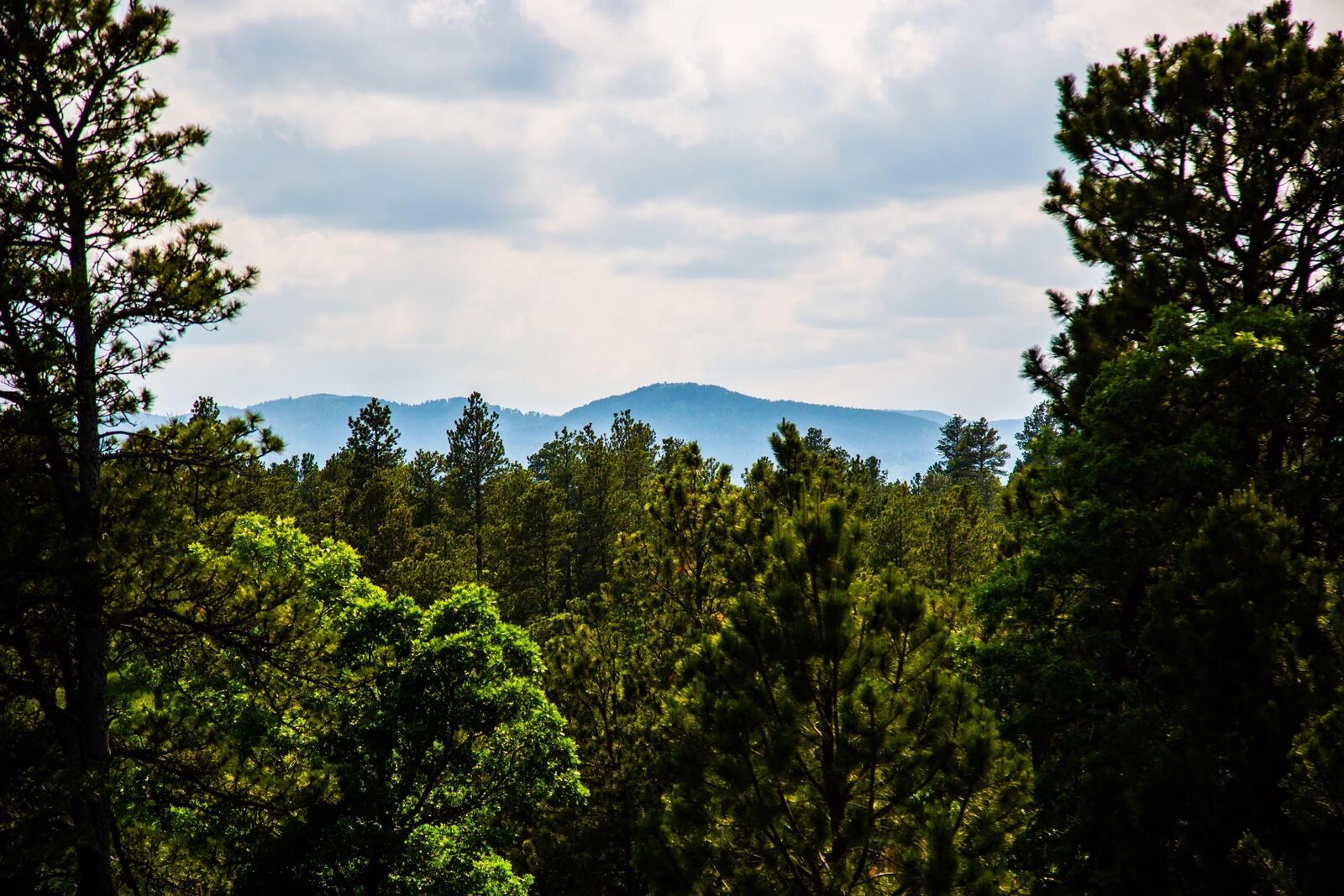 Property Photo:  Tract 8 Oak Street  SD 57793 