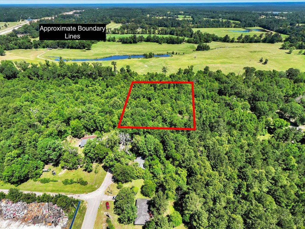 L16700 Bill Jones Road  Lufkin TX 75901 photo