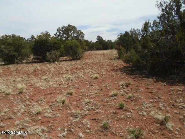 Property Photo:  4089 E Oakdale Road  AZ 86046 