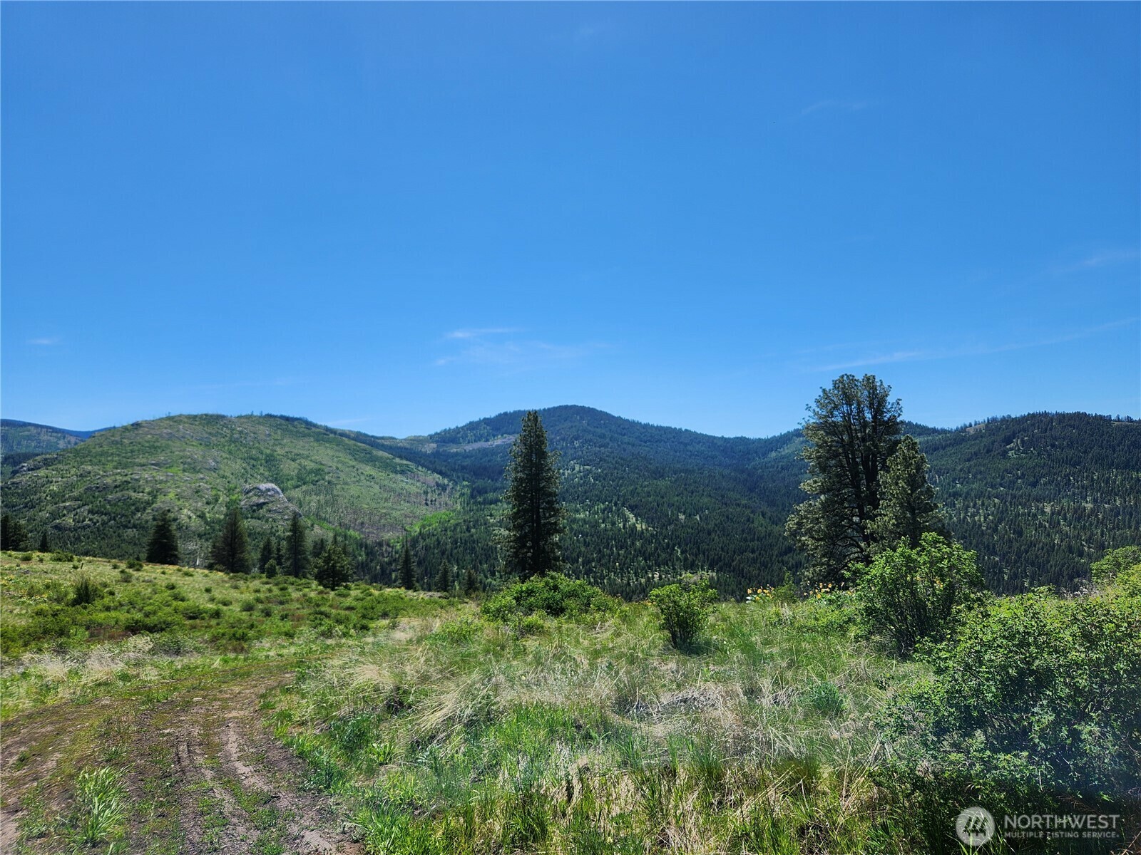 Property Photo: 12 Dignity Ranch Road WA 99150