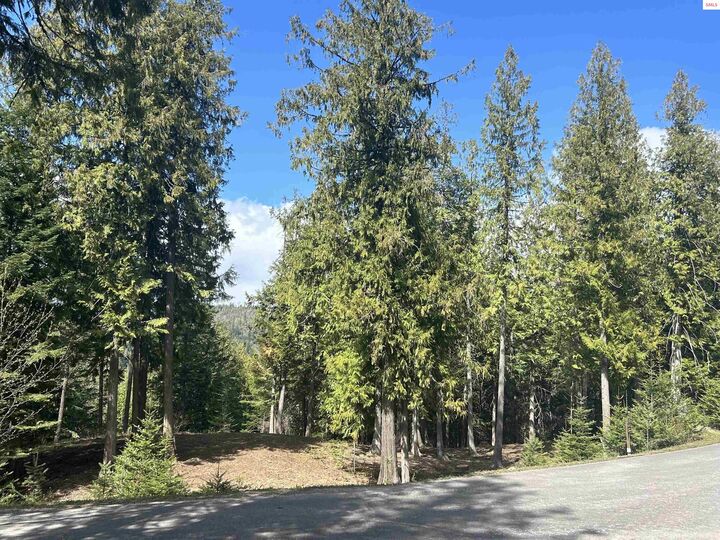 Property Photo: Lot 17 White Cloud Dr ID 83864