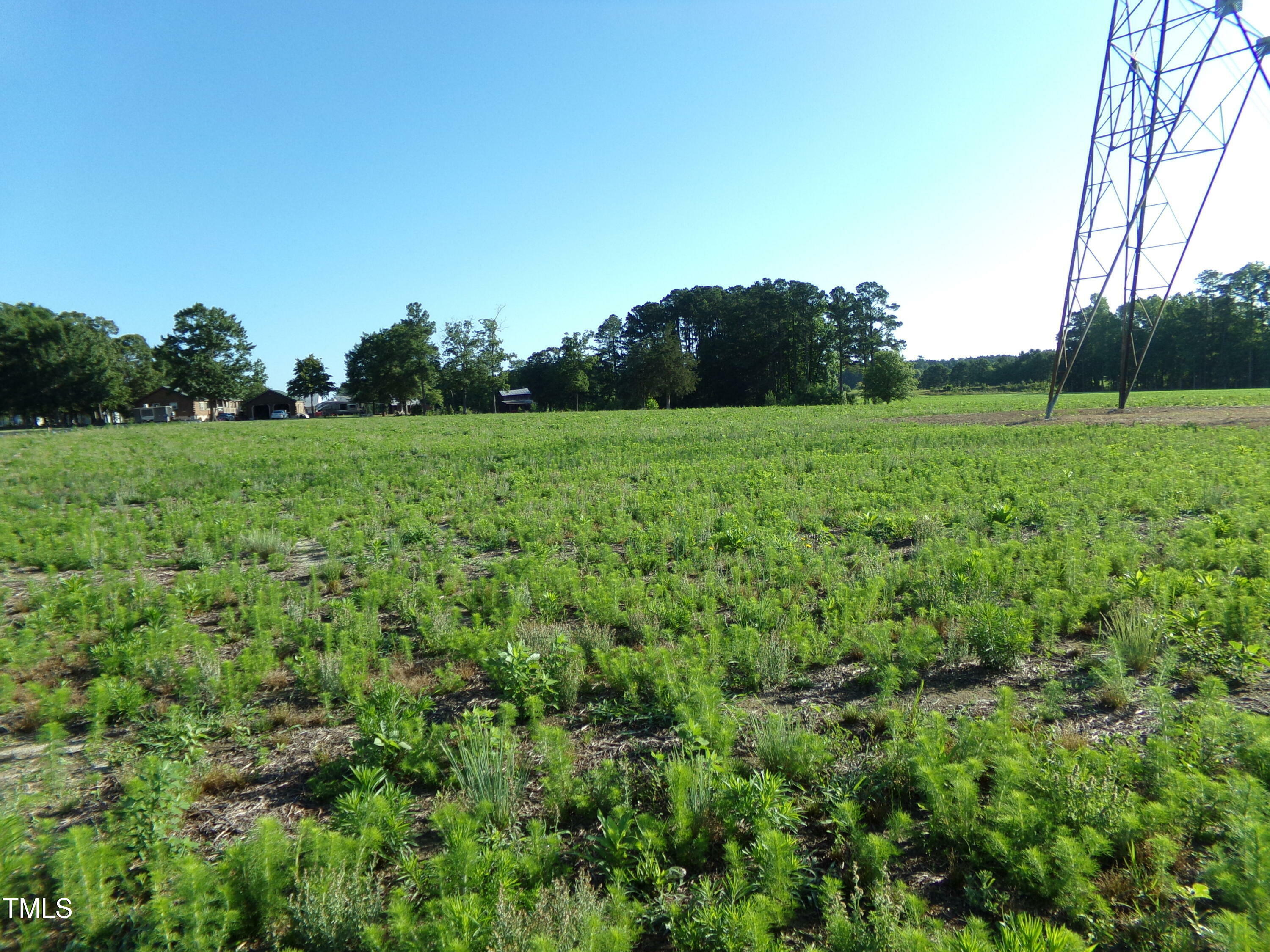 Property Photo: Lot 5 Triskel NC 27597