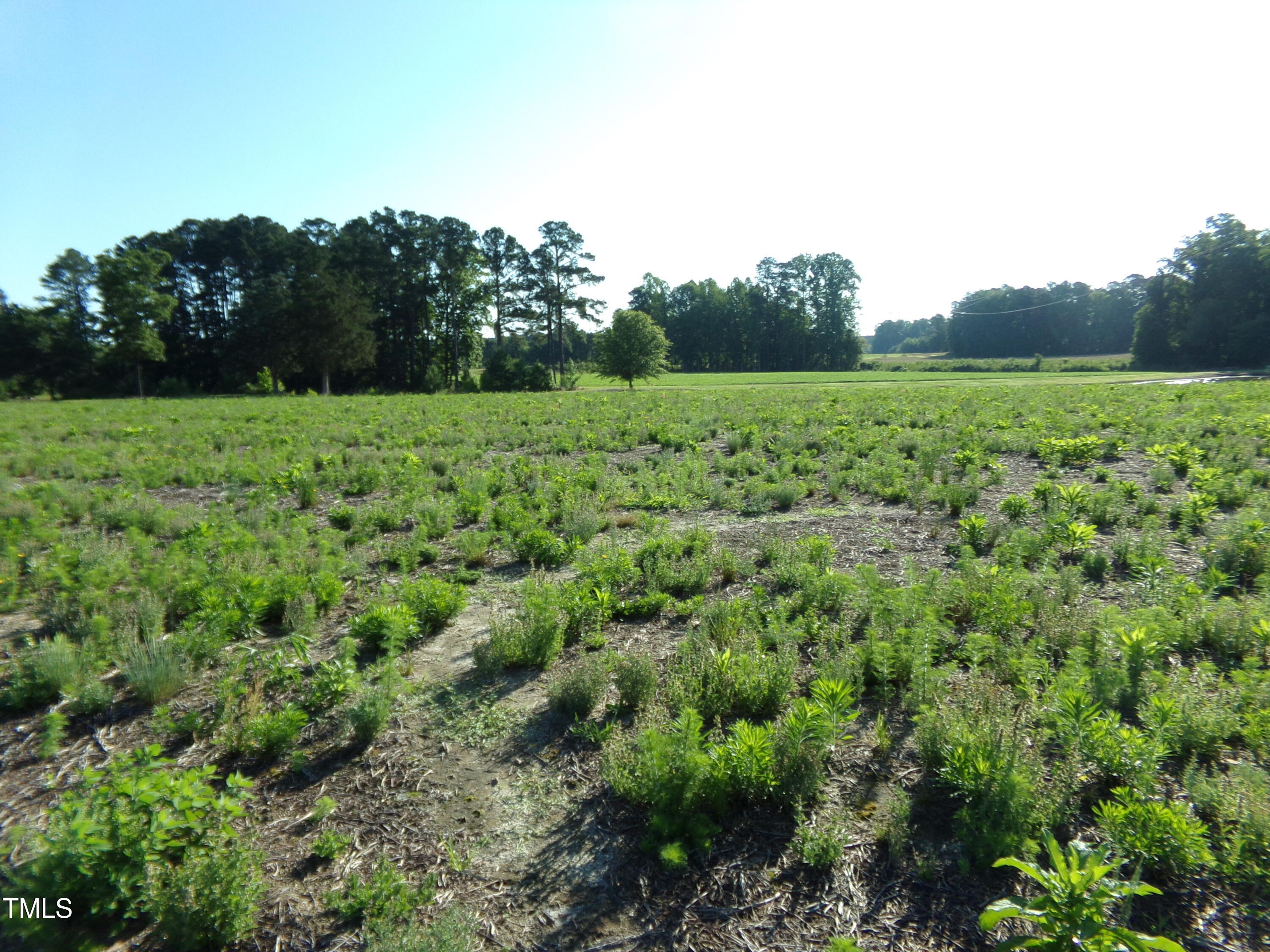 Property Photo: Lot 5 Triskel NC 27597