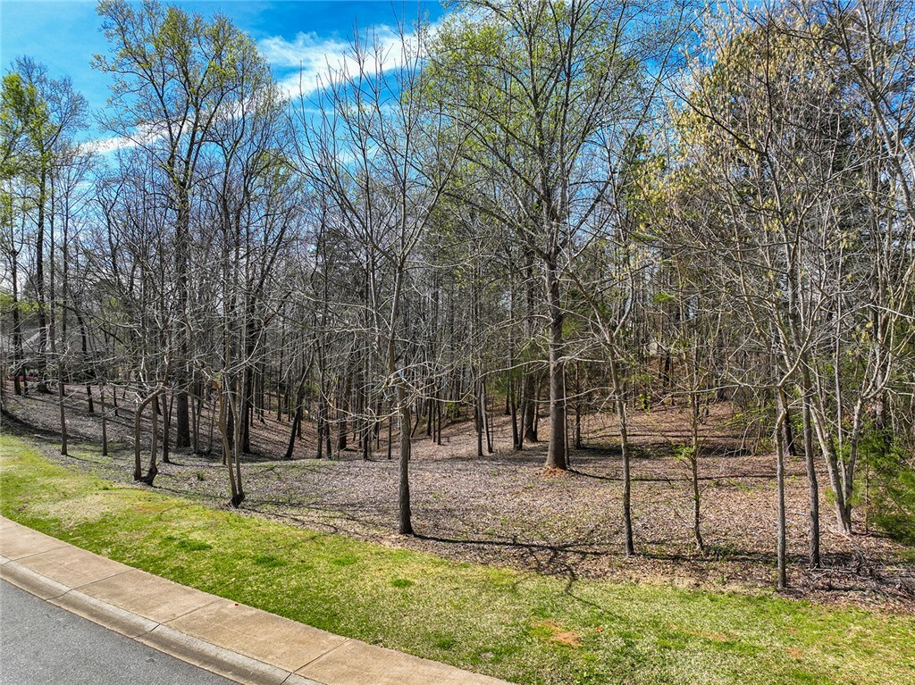 Property Photo: 217 Winding Oaks Drive SC 29672
