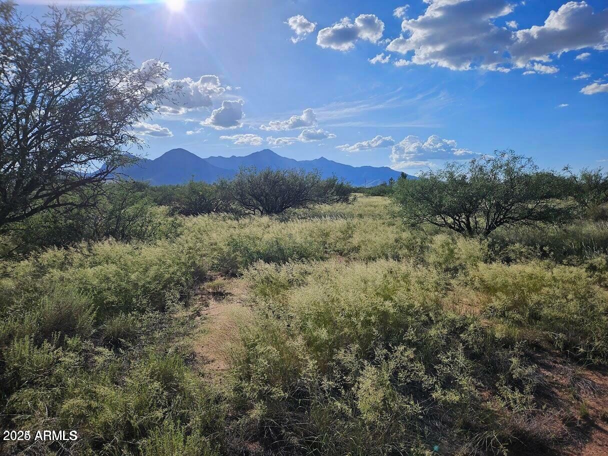 Property Photo: 4.5 Acres E Lane Ranch Road 30 AZ 85615