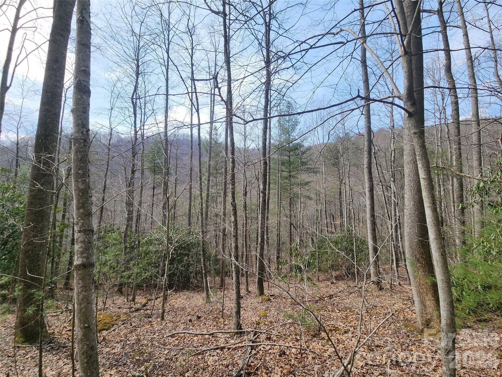 Property Photo:  9999 Burnette Reeves Road  NC 28748 