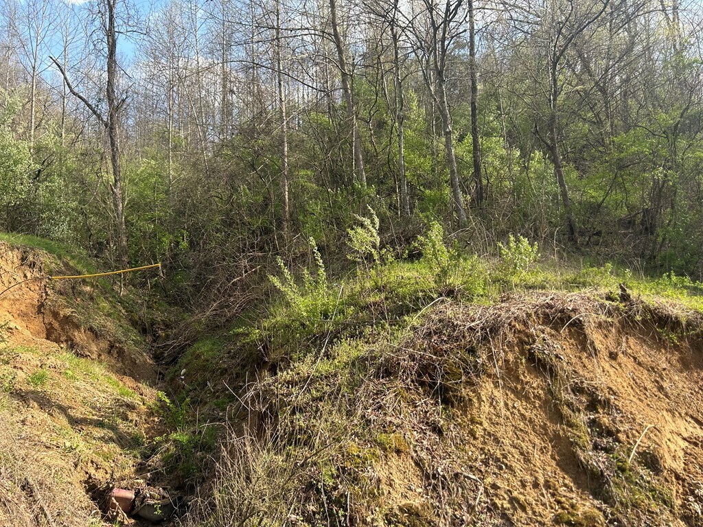 Property Photo:  0 Ky Route 689  KY 41219 