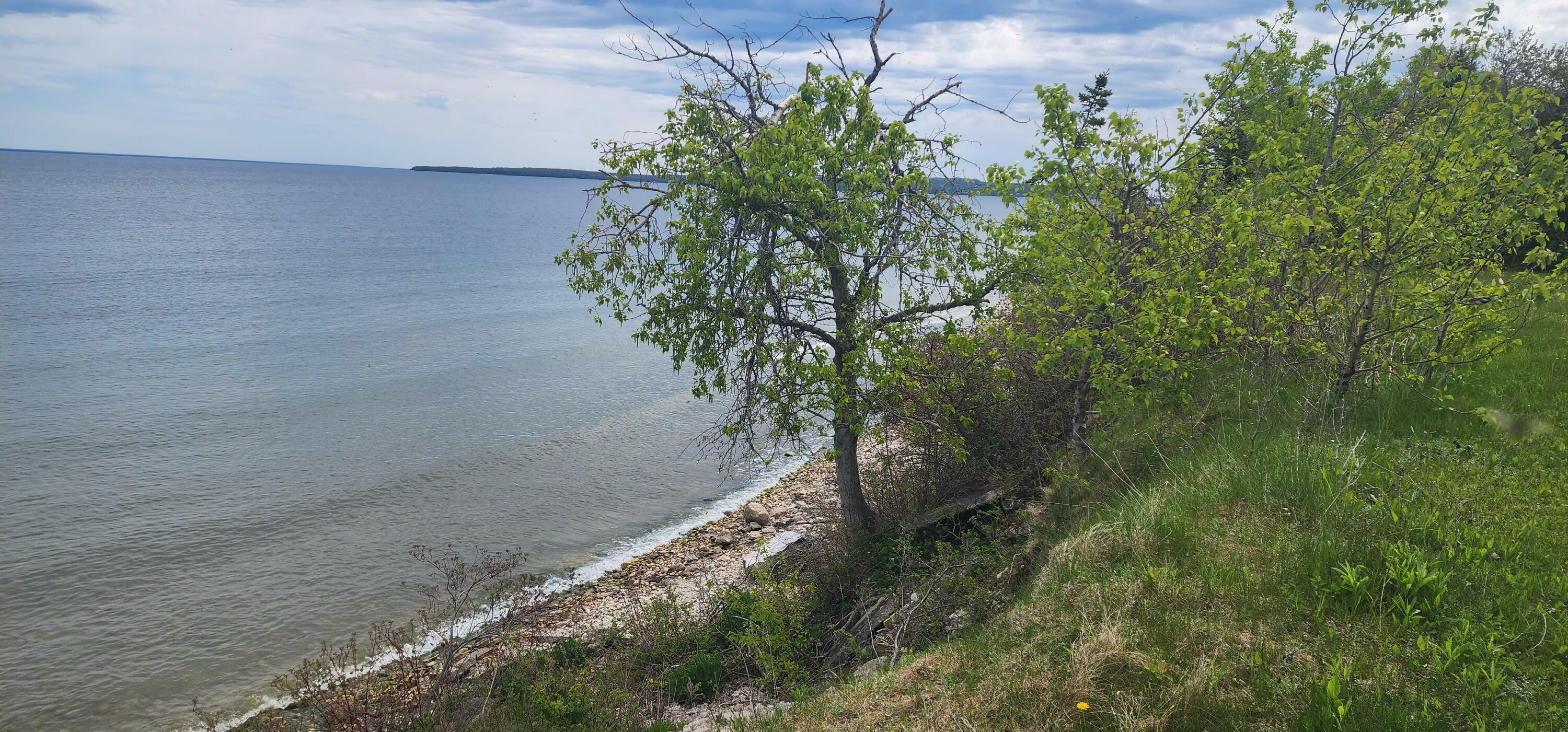 Property Photo:  Tbd S State St  MI 49781 