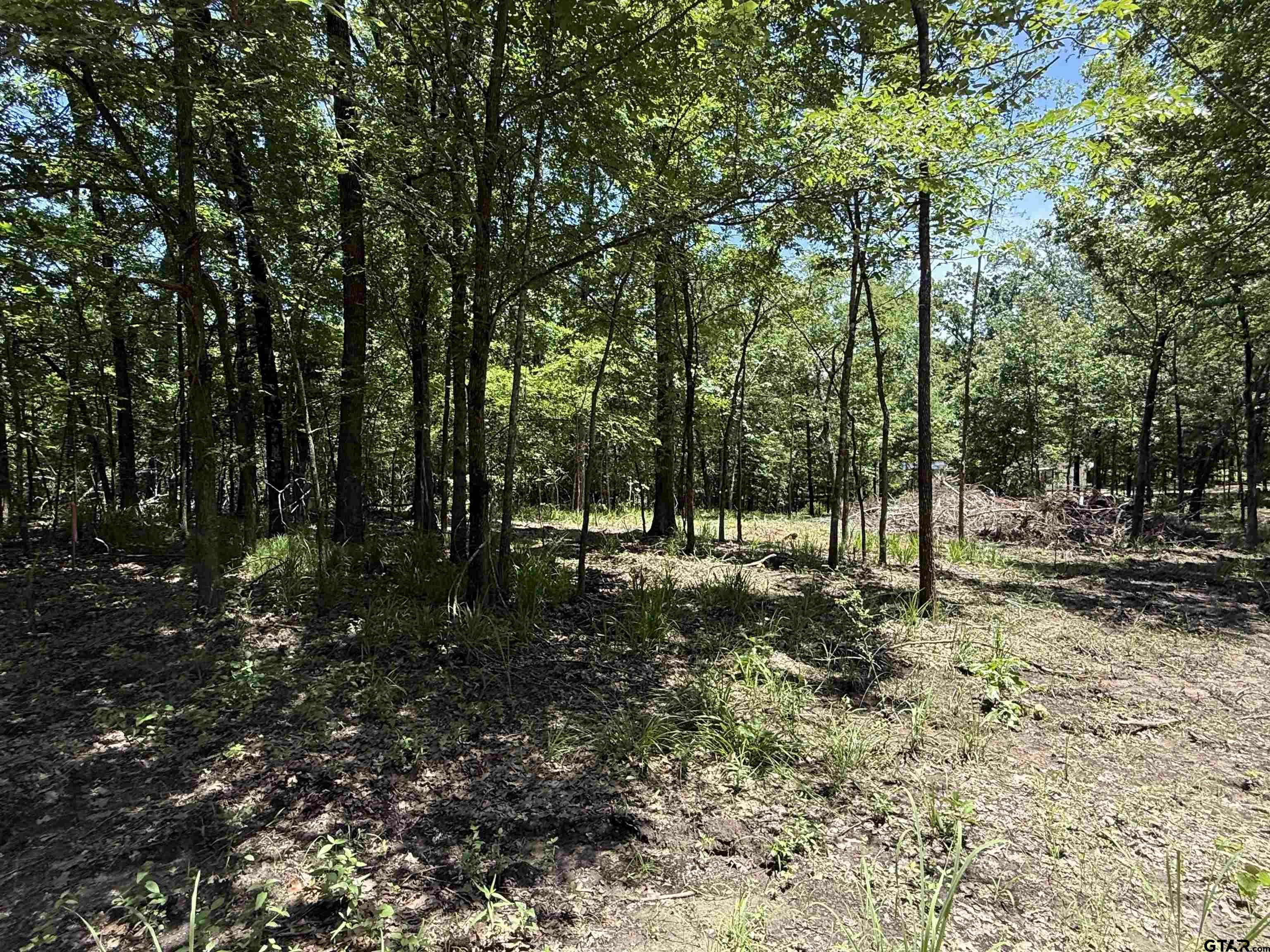 Property Photo: Tbd Pr 5861 (Lot 2) TX 75497