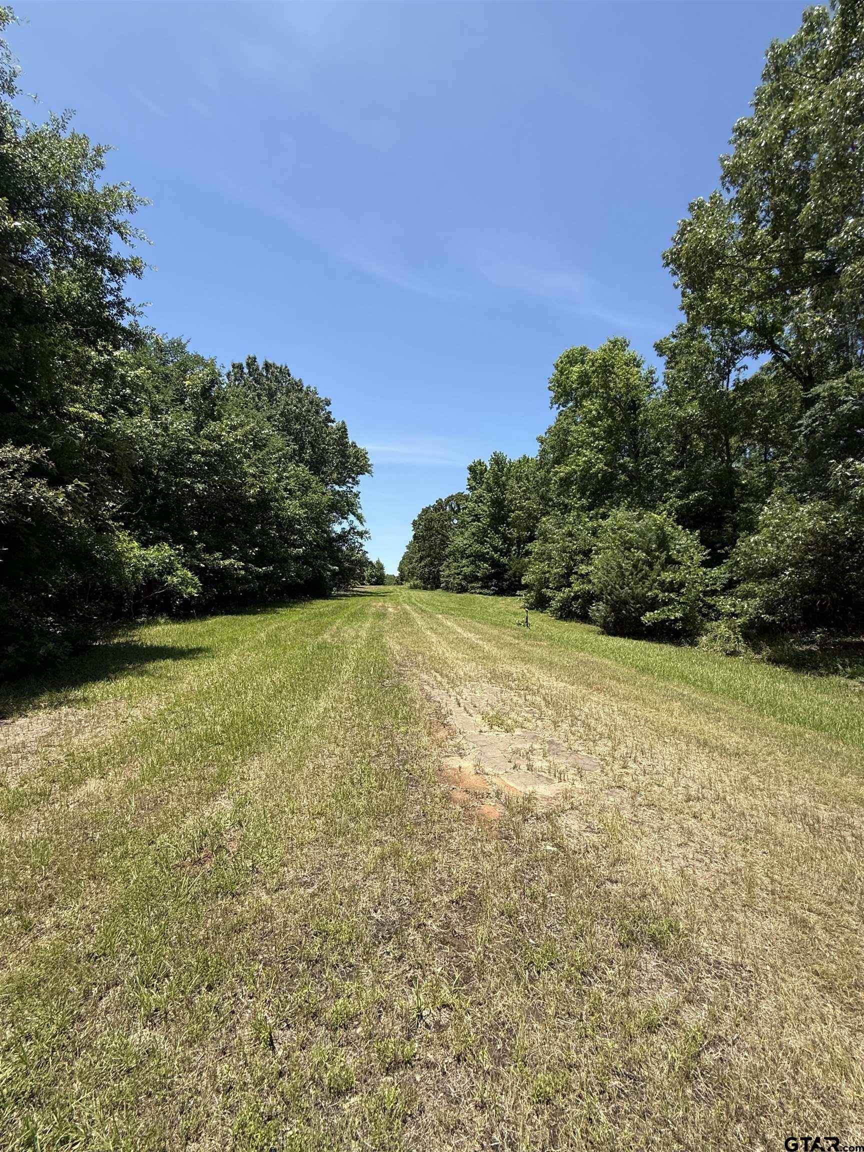Property Photo: Tbd Pr 5861 (Lot 3) TX 75497