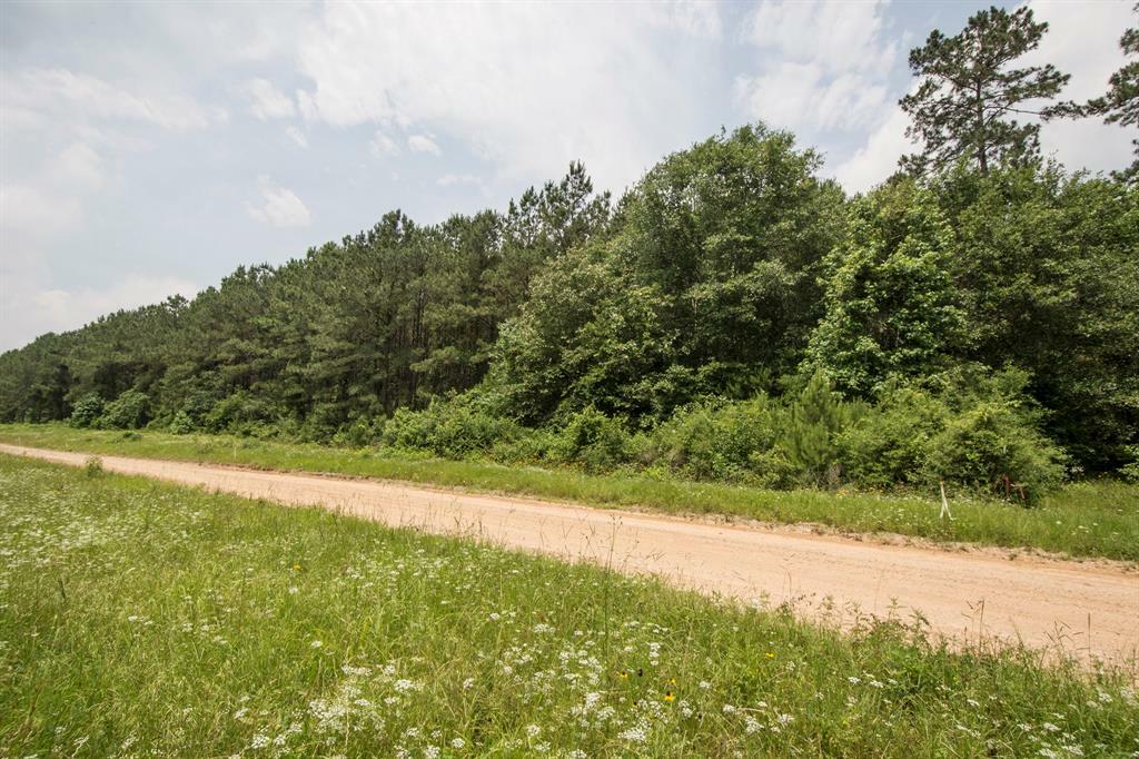 Property Photo: 0 Felix Currie Road TX 77364