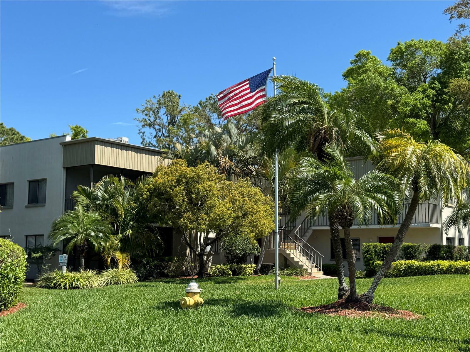 Property Photo: 3300 Fox Chase Circle N 229 FL 34683
