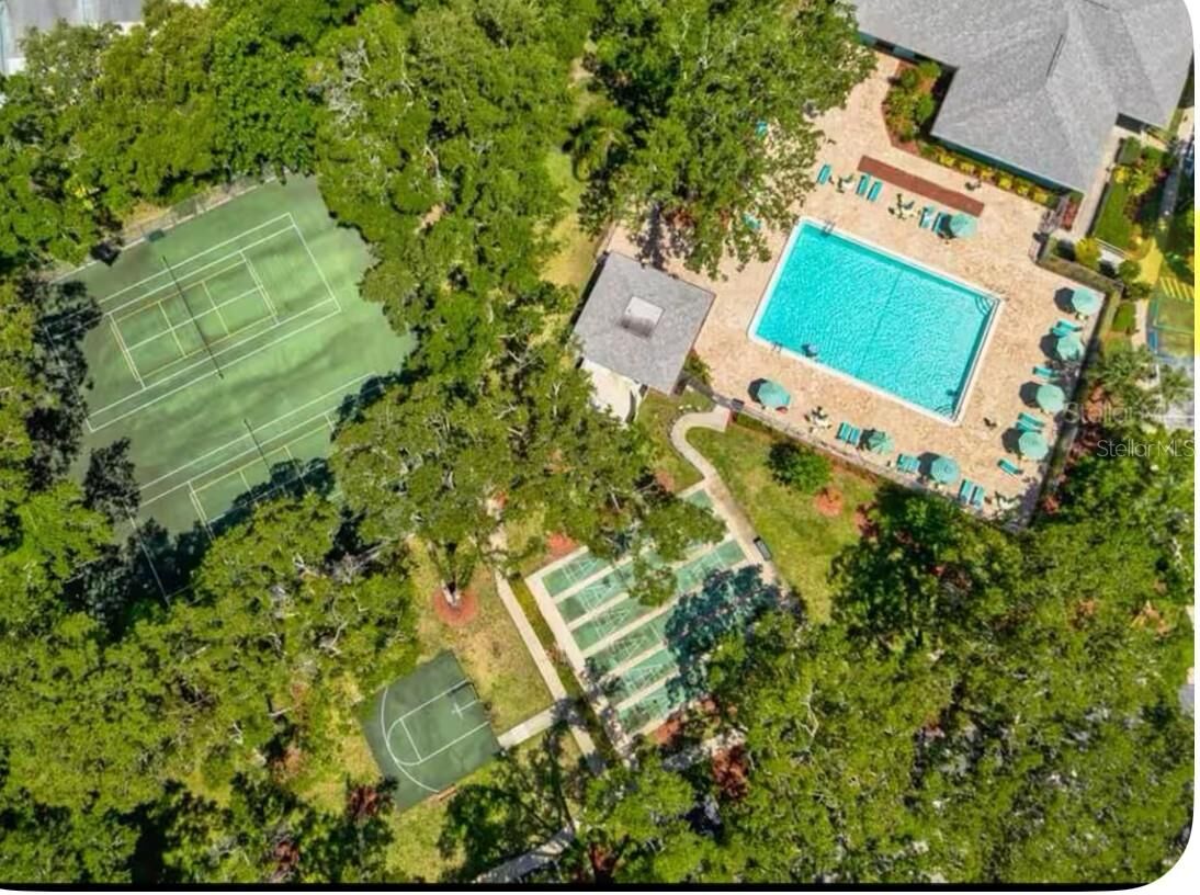 Property Photo: 3300 Fox Chase Circle N 229 FL 34683