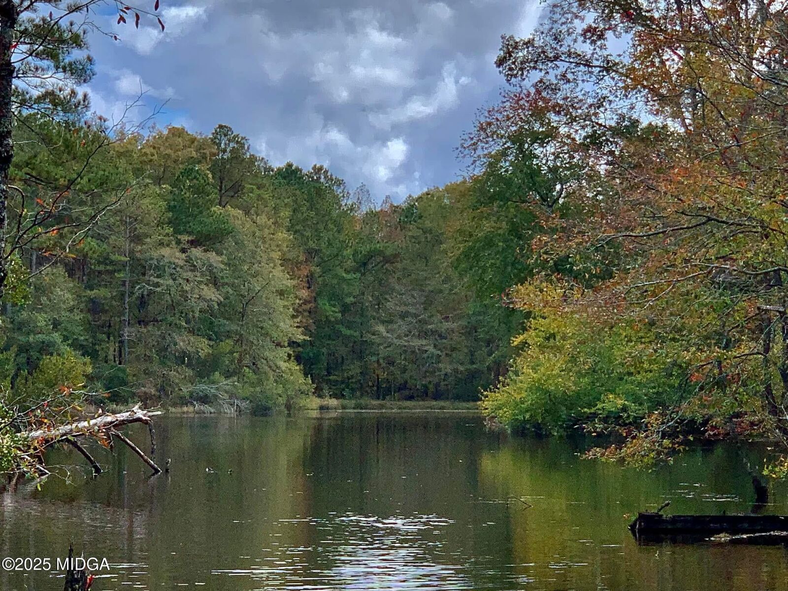 Property Photo: 193 Griswoldville Shortcut GA 31217