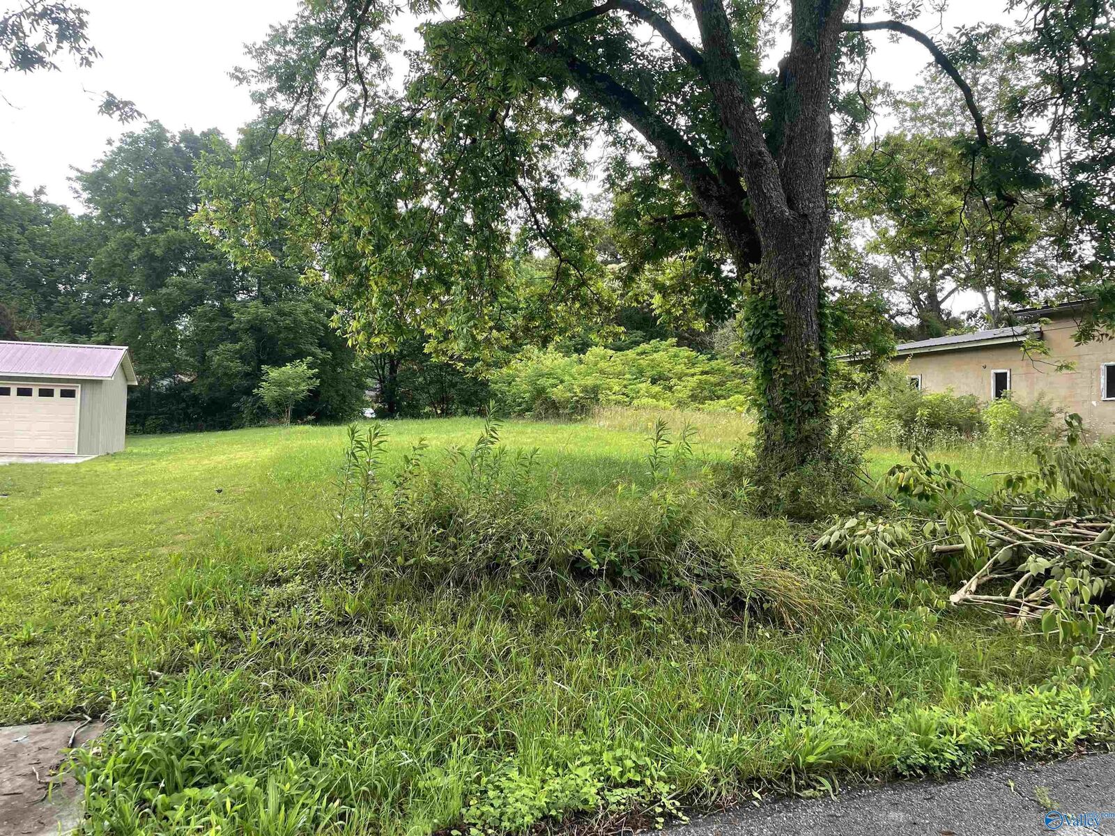 Property Photo:  Lot 54' Off W5 NW 3rd Avenue NW  AL 35016 