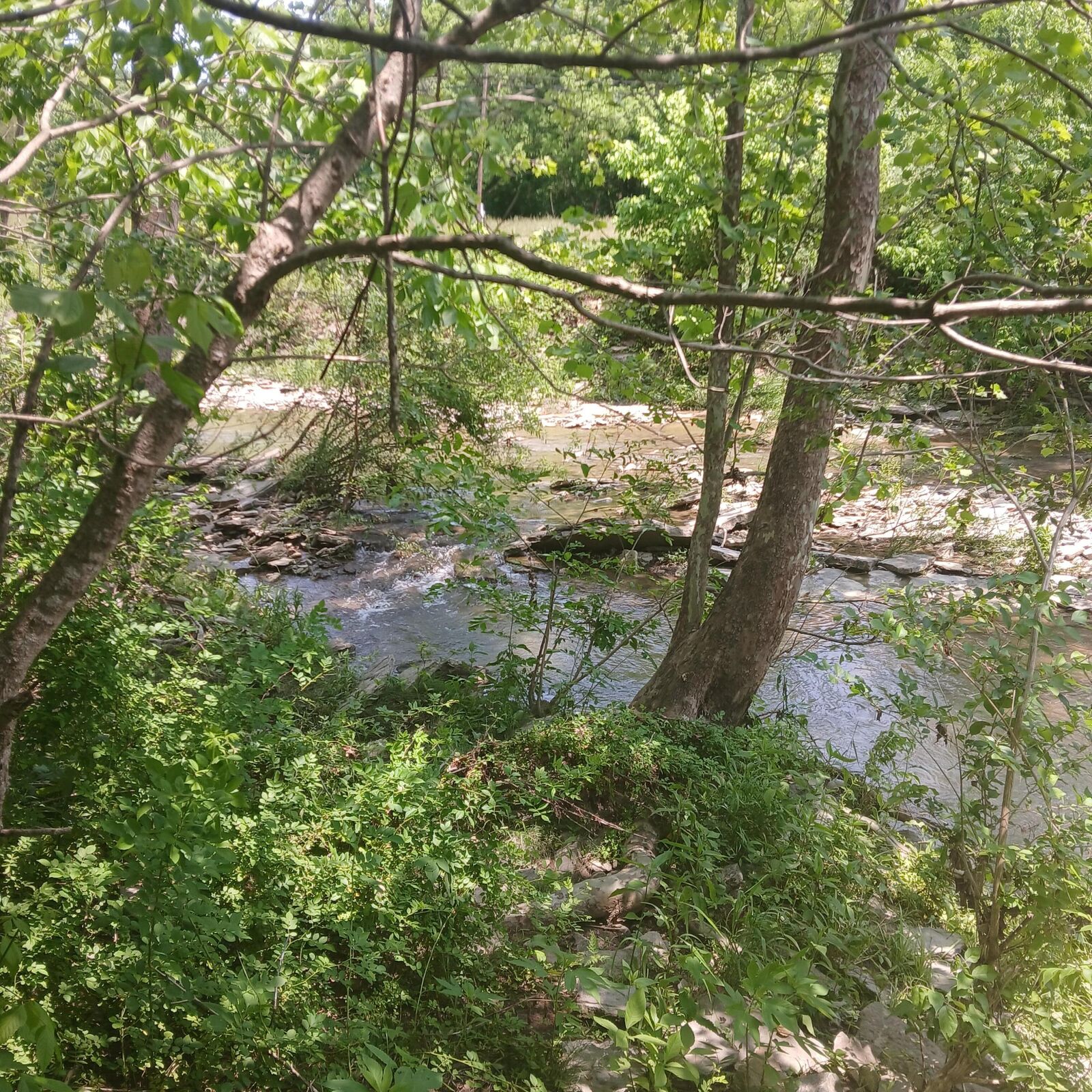 Property Photo:  3688 Rector Road  KY 41063 