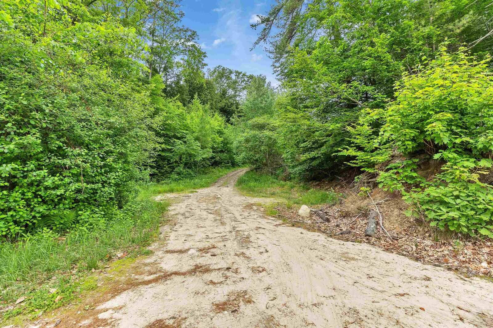 Property Photo: 496 Old Homestead Highway NH 03470