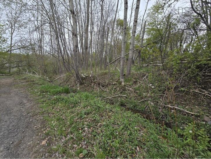 Property Photo:  Double Lot 2 Brook Street  NS B0K 1X0 