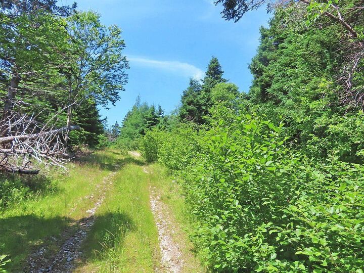 Property Photo:  20 Acres Upper Grand Mira Road  NS B1K 1M1 
