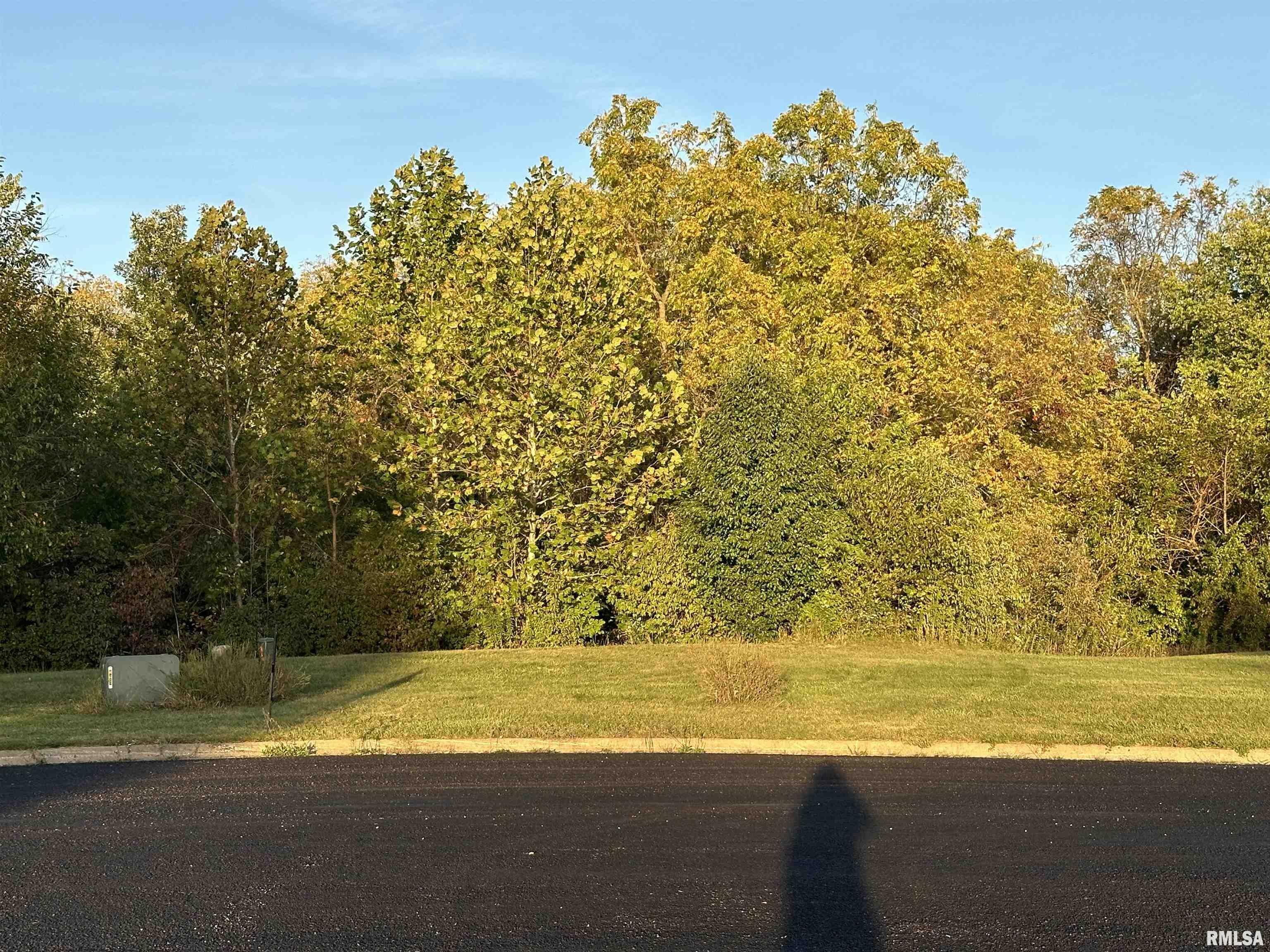 Property Photo: 106 Scarlet Court IL 61571