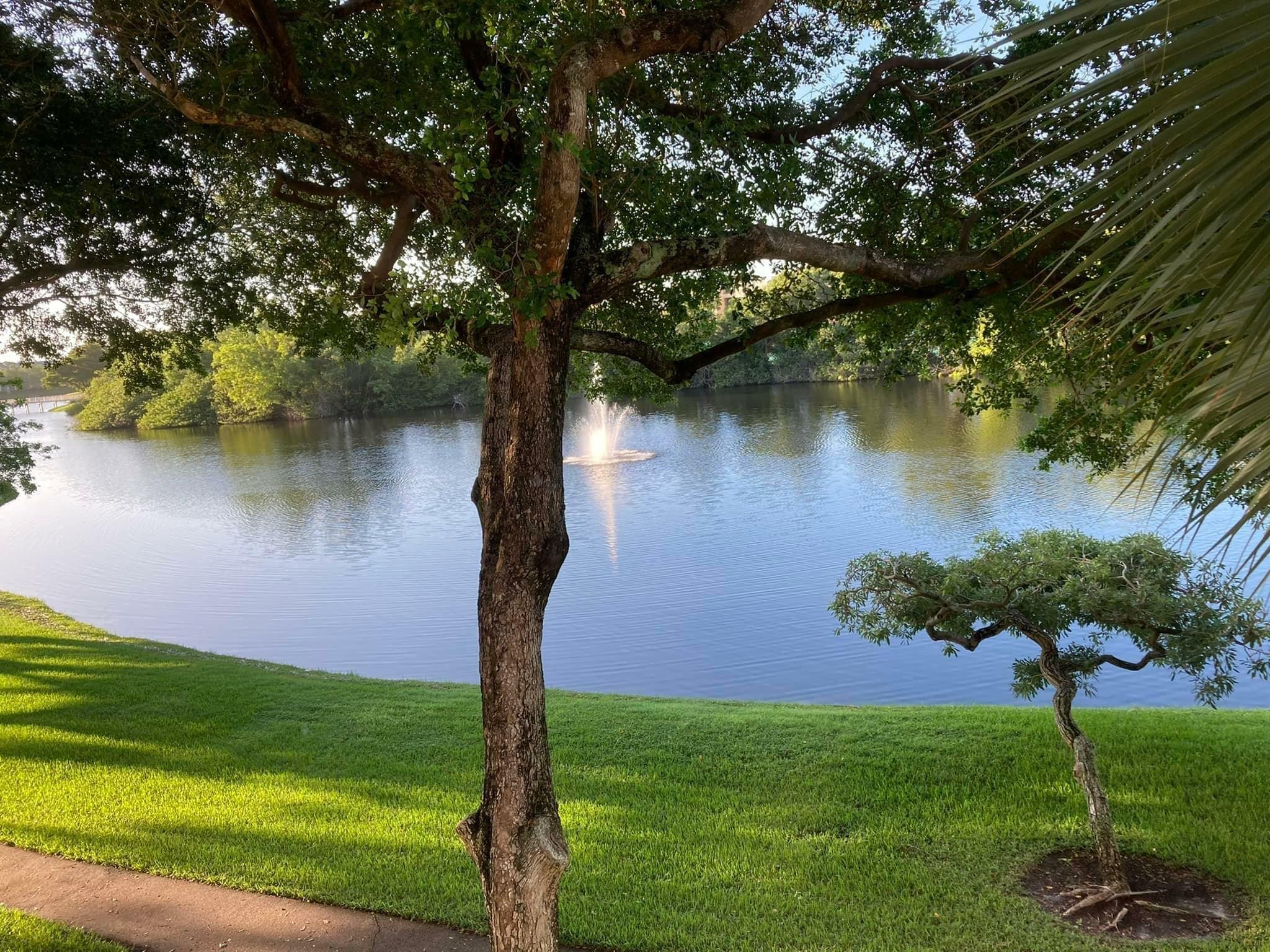 Property Photo: 950 Lavers Circle F307 FL 33444