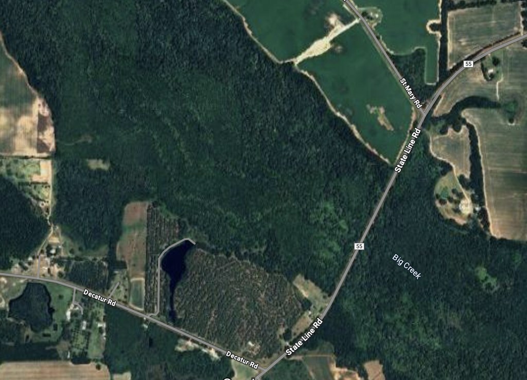 Property Photo: 0 State Line Rd &Amp Decatur Rd AL 36320