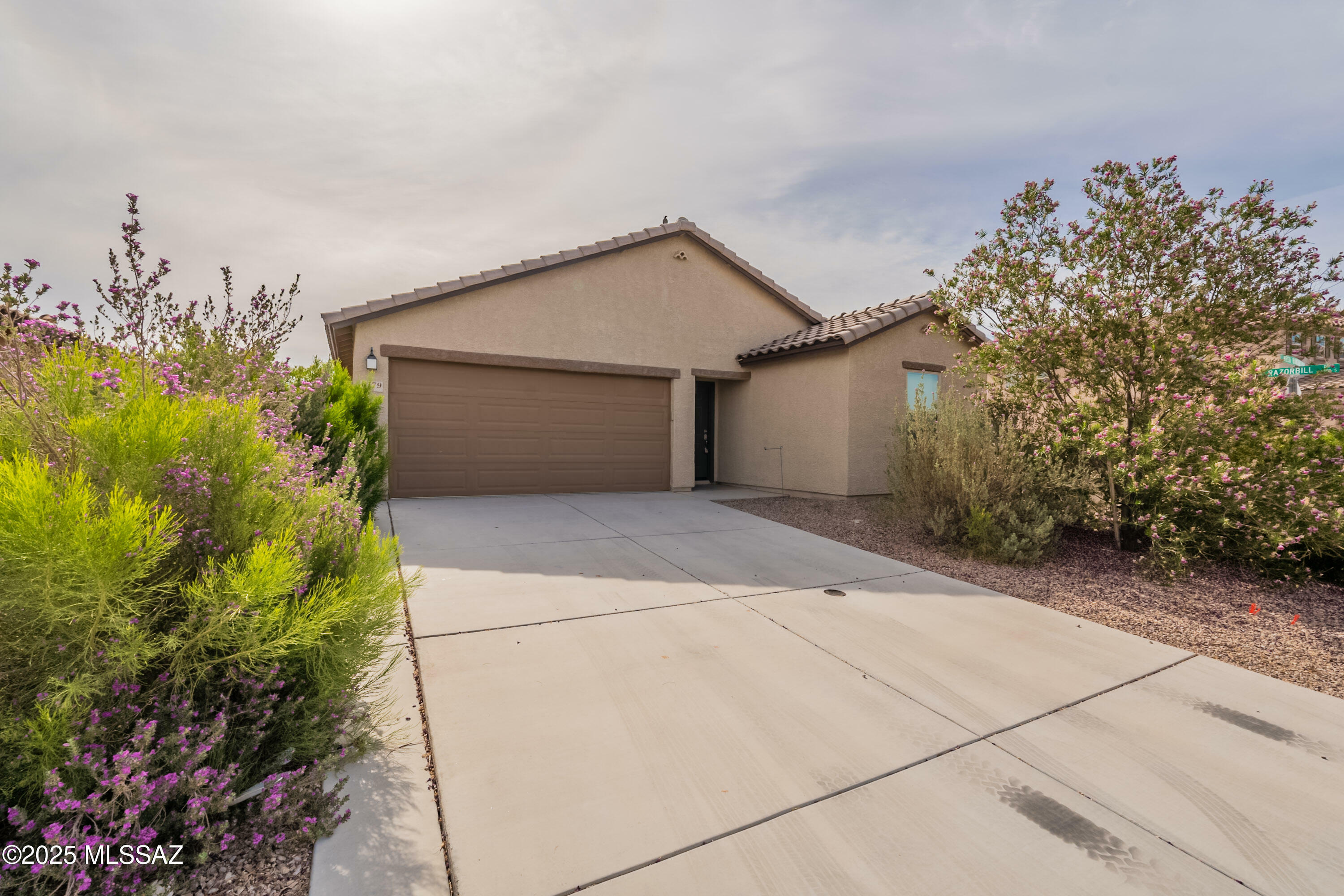 Property Photo:  6179 S Reed Bunting Drive  AZ 85757 