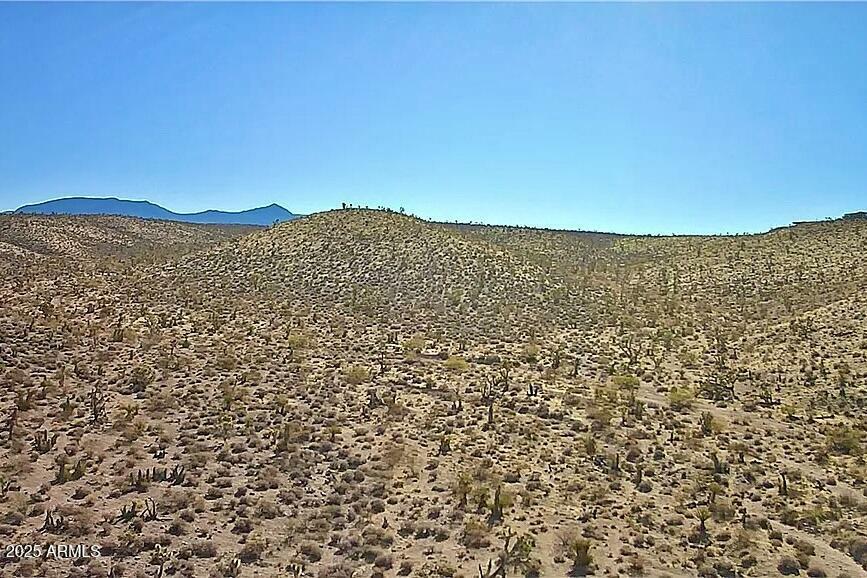 Property Photo: 123 Antelope Avenue 123 AZ 86444