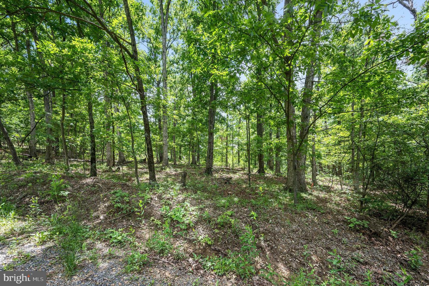 Property Photo: Lots 4 &Amp 5 Glen Ridge Road VA 22602