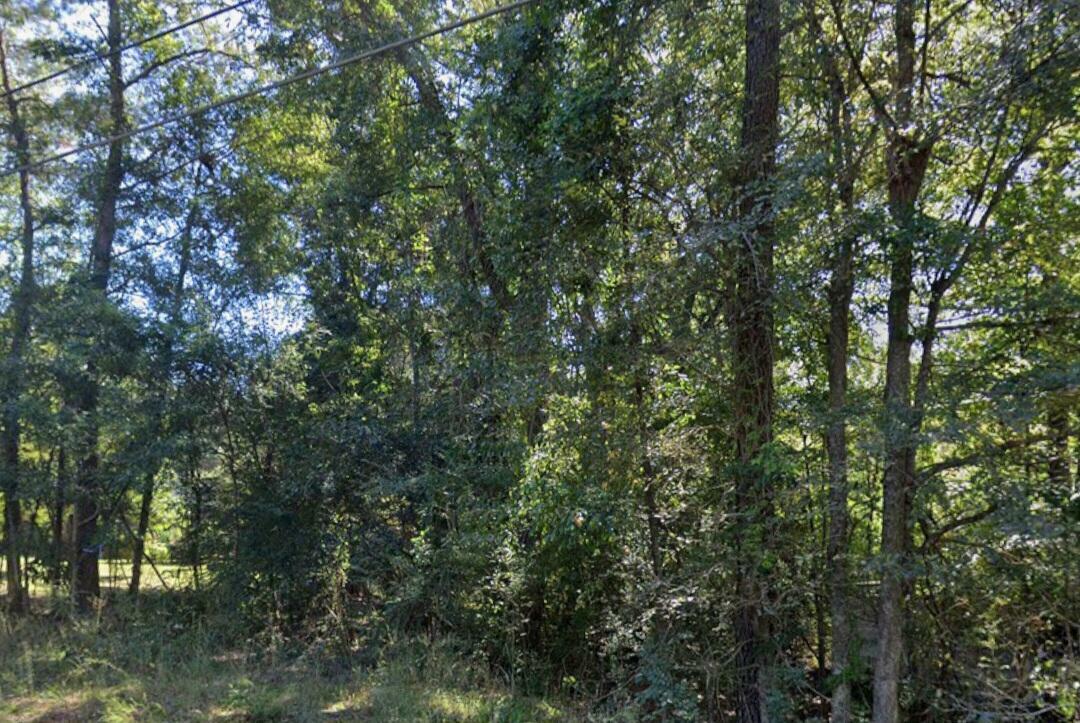 258 Co Rd 167  Stonewall MS 39363 photo