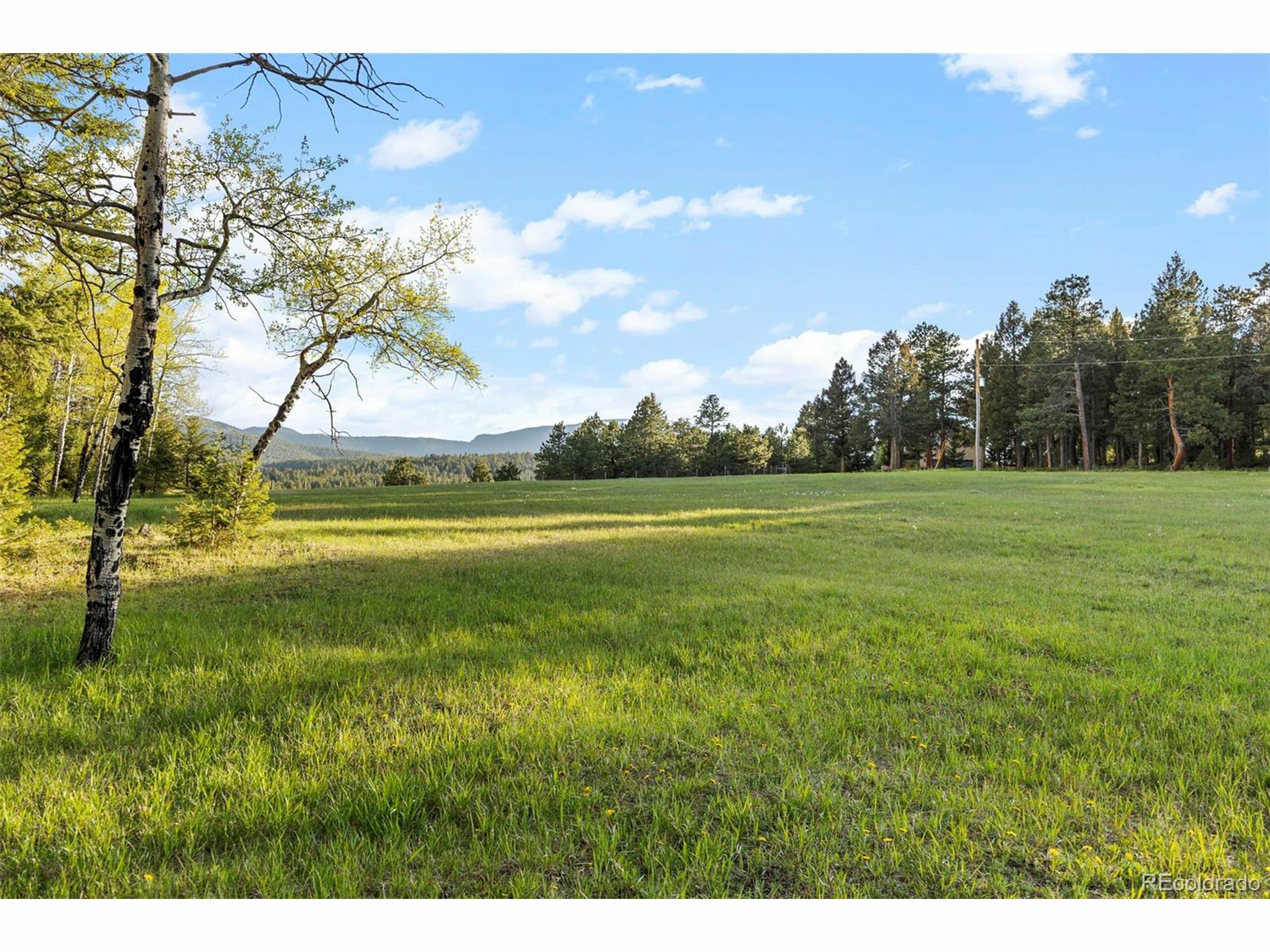 Property Photo: 8821 Blue Creek Rd CO 80439