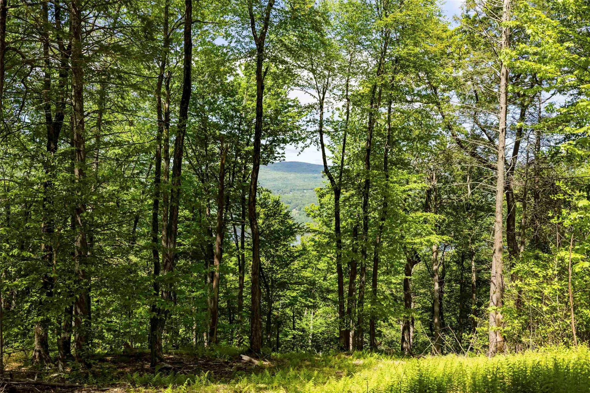Property Photo:  2 Red Rock Road  NY  