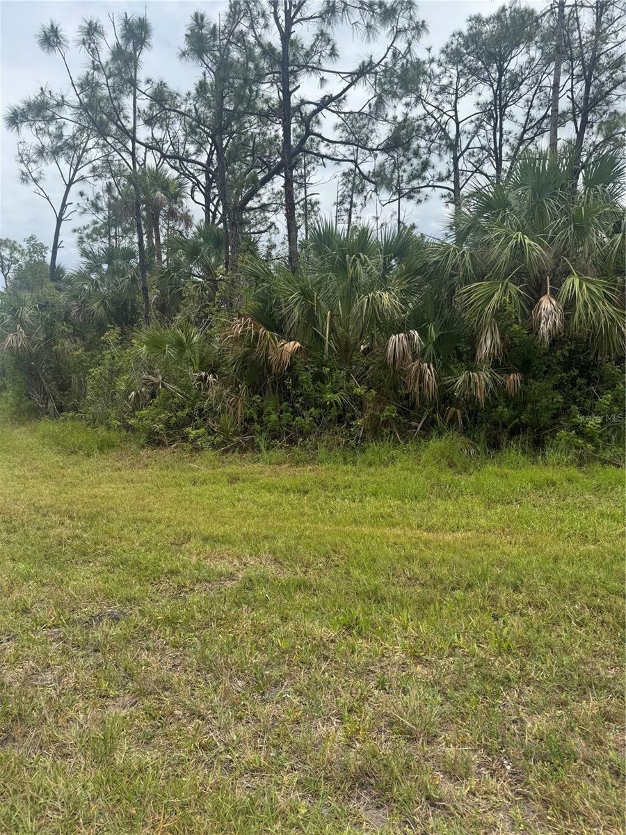 Property Photo:  12071 Wadsworth Avenue  FL 33981 