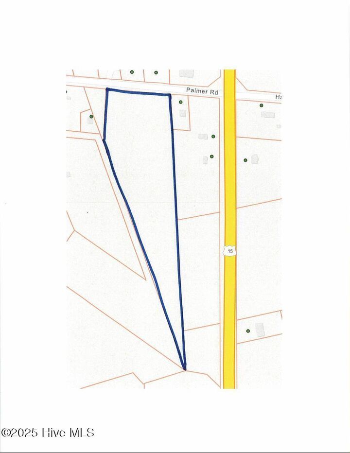 Property Photo:  Tbd Palmer Road  NC 28363 